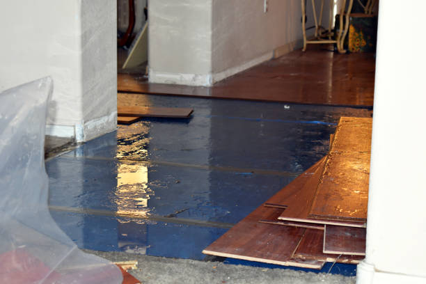 Professional Basement Flood Cleanup technician working in Collinsville, MS